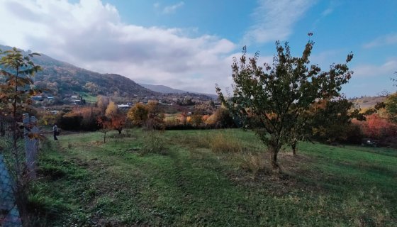 ÇUKURKÖY'DE KÖY İÇİ SATILIK 1096 M2 BAHÇE...